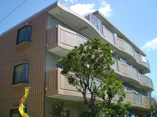T's Court