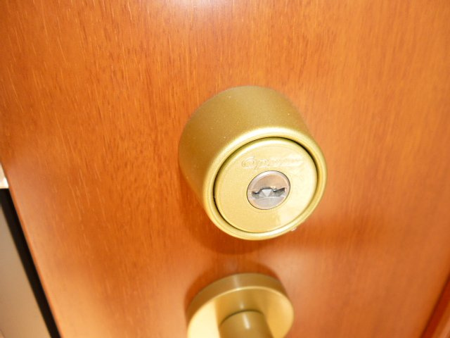 ベルソレイユのセキュリティ|オプナスキー