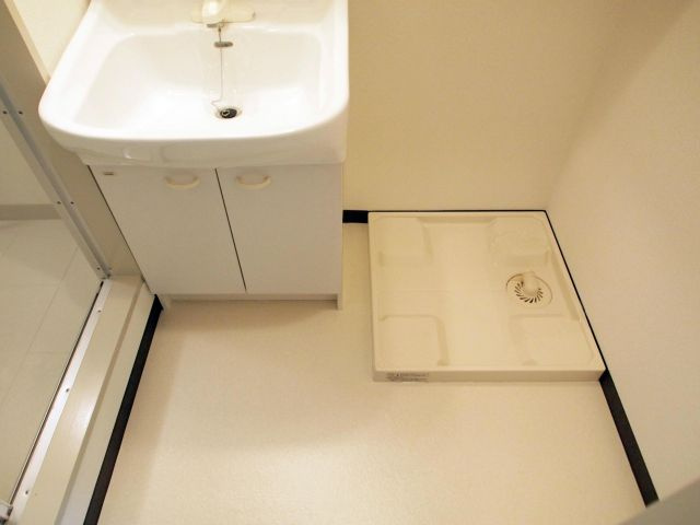 ドムール岸里東の洗面所