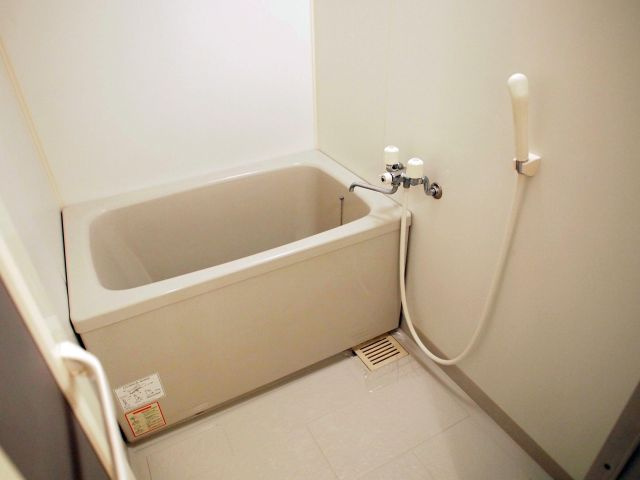 ドムール岸里東の浴室