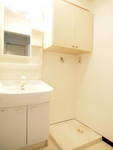 ドムール岸里東の洗面所