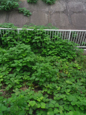 【展望】 | スカイピア港南台