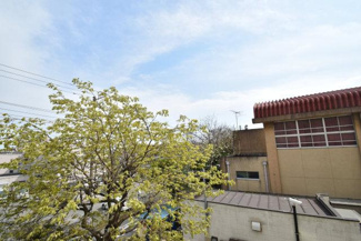【展望】 | バルコニーからの眺望