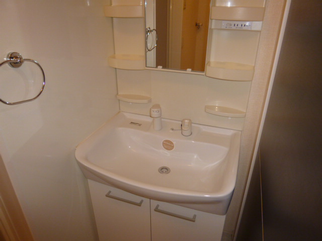 ディライトステージＡの洗面所