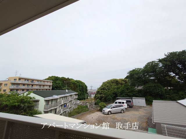 コモドアデッソの展望