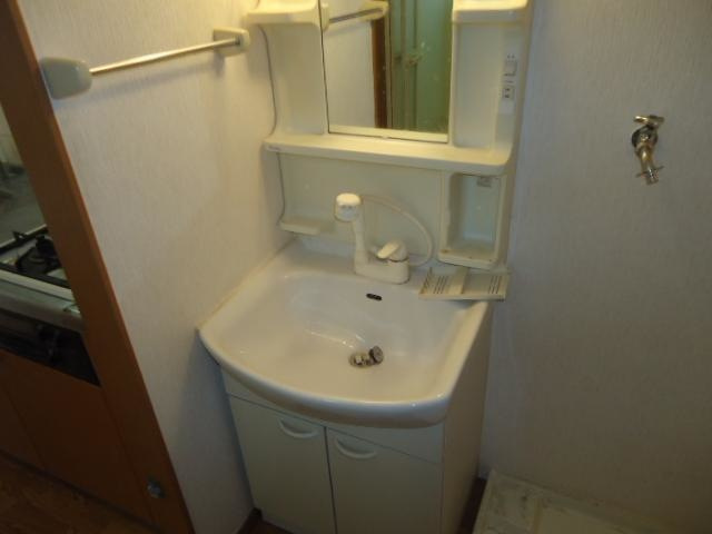 エクセレンス白山の洗面所