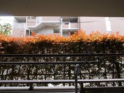 【展望】 | ストゥディオ（すとぅでぃお）