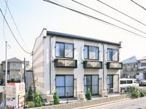 エーデルワイスの画像