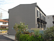 コスモオーラの画像