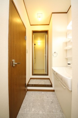 ドミールたかねB棟の洗面所