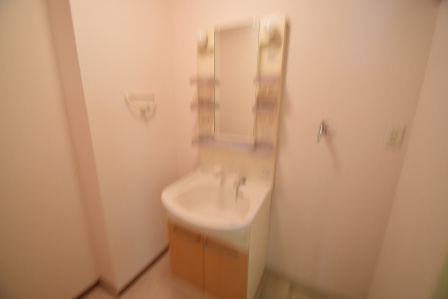 スマートＦⅡの洗面所|シャンプードレッサー