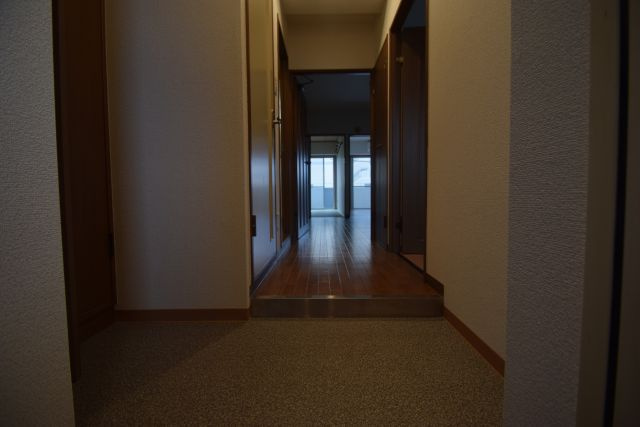 コリーナ柏井の玄関|光が差し込み明るくきれいなマンションです。