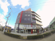 ＴＮＧの画像