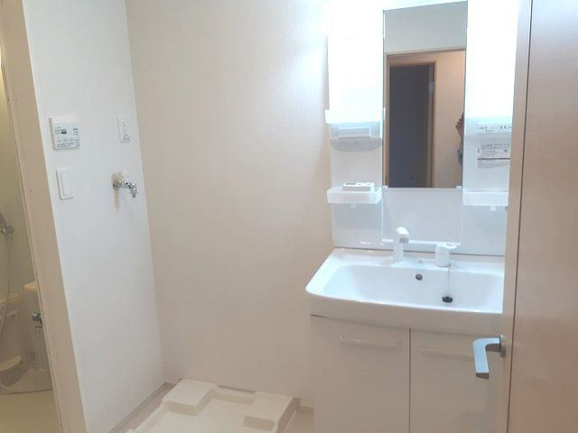 サンヴェール大芝Bの洗面所