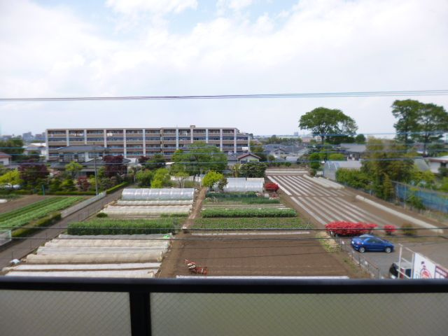 ホワイトプラザの展望