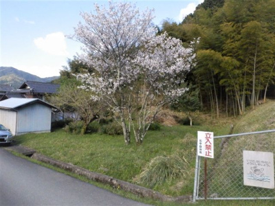 【外観】 | 柏原町北中１６２坪