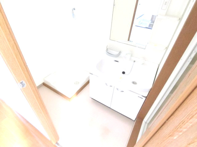ラフィーネマックの洗面所