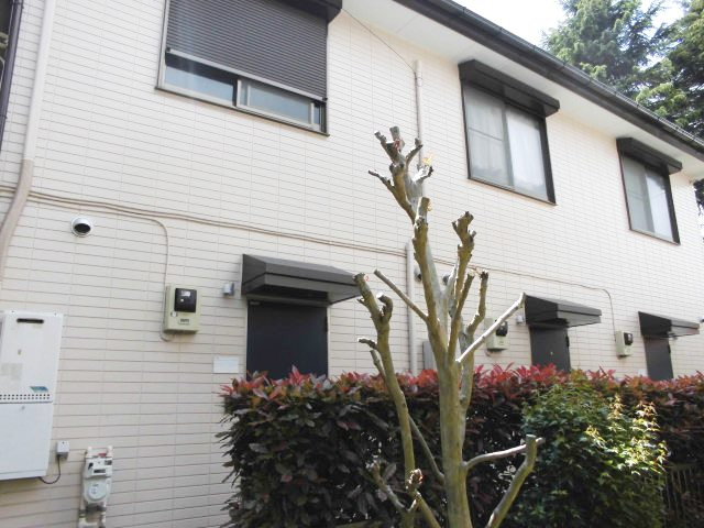 ブエナビスタの外観