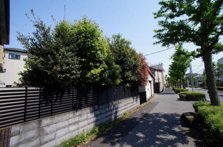 【前面道路含む現地写真】