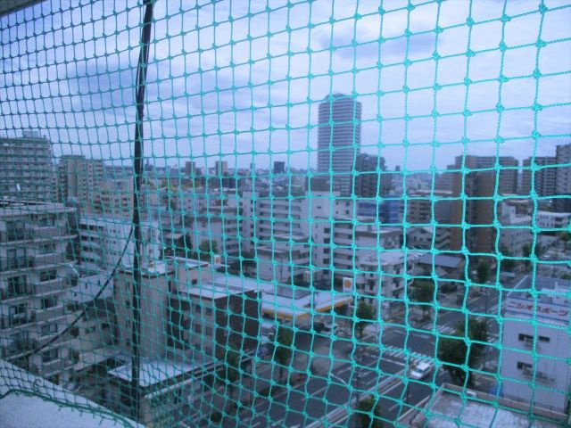 共栄ビル東棟の展望