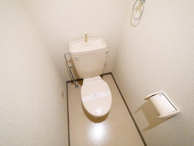 ベルデ帝塚山のトイレ|落ち着いたトイレです