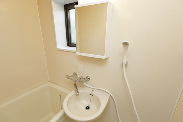 翠荘東Aの洗面所