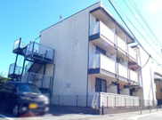 カミーリアの画像