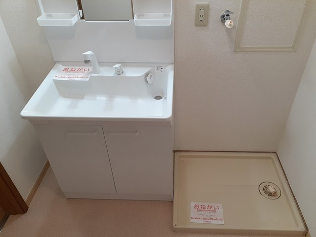 リブェール宝塚Ⅱの洗面所