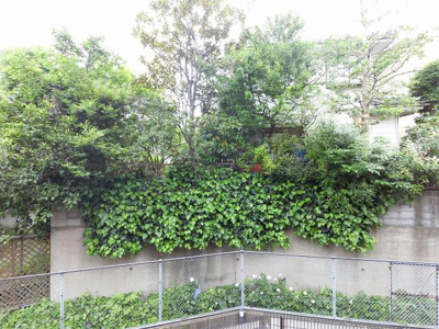 【展望】 | ライオンズマンション洋光台