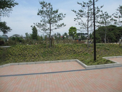 【周辺】 | 2杉和荘 | 下高井戸おおぞら公園眼の前です