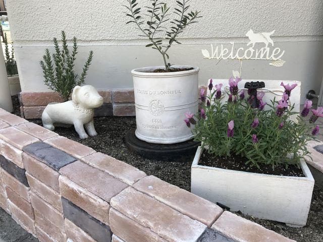 サニーテラス芦屋の外観