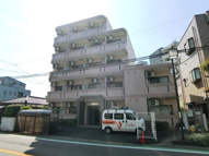 第二ホリィホックの画像