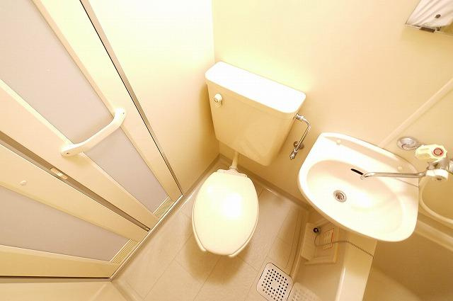 メゾン・ドゥ・クリヨンのトイレ|落ち着いたトイレです