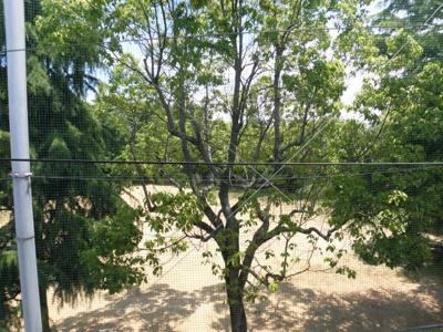 【展望】 | 杉本ハイツ