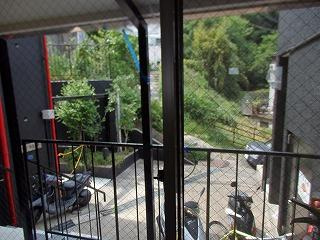  | ドミトリー阪急六甲