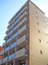 ダイナコートエスタディオサラの画像