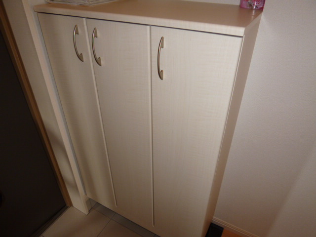 マーヴェラスパレスⅢの内装|シューズボックス