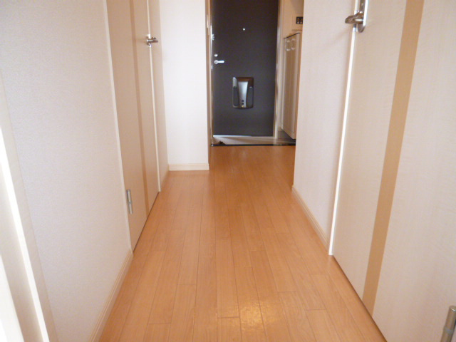 マーヴェラスパレスⅢのその他|廊下