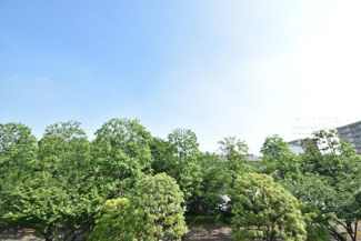 【展望】 | 北側バルコニーからの眺望
