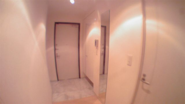 台東区元浅草２丁目の賃貸マンションの玄関|同タイプ参照