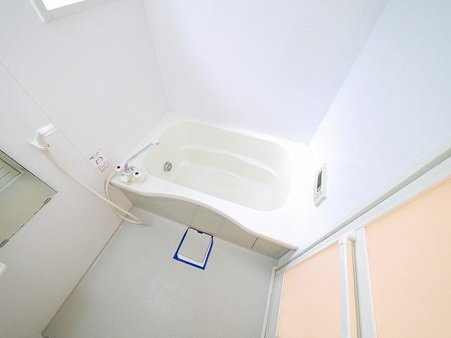 シャーメゾン　コトーの洗面所|広い洗面スペース