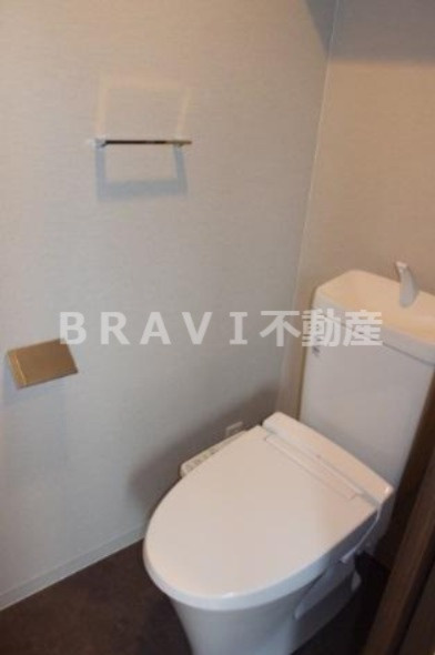 グランデカワノ上町台 BRAVI不動産のトイレ