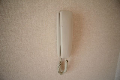 【セキュリティ】 | 春紫苑