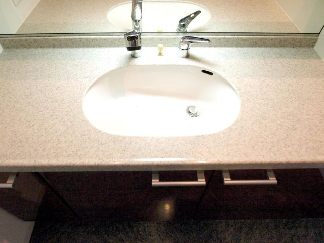 エルザグレース堀江タワーの独立洗面台