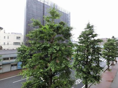 【展望】 | 藤和シティホームズ横浜吉野町 | 3階部分からの眺望