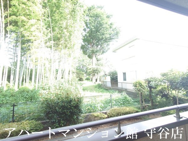 ヴァン・ボヌールの展望