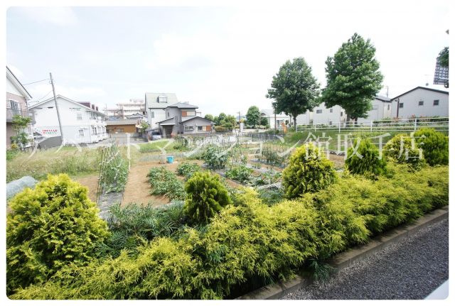 フィオーレBの展望