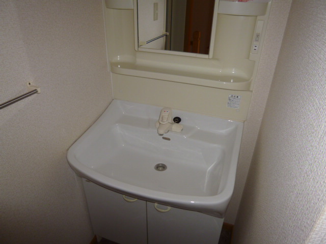 シャンロジュマンの洗面所
