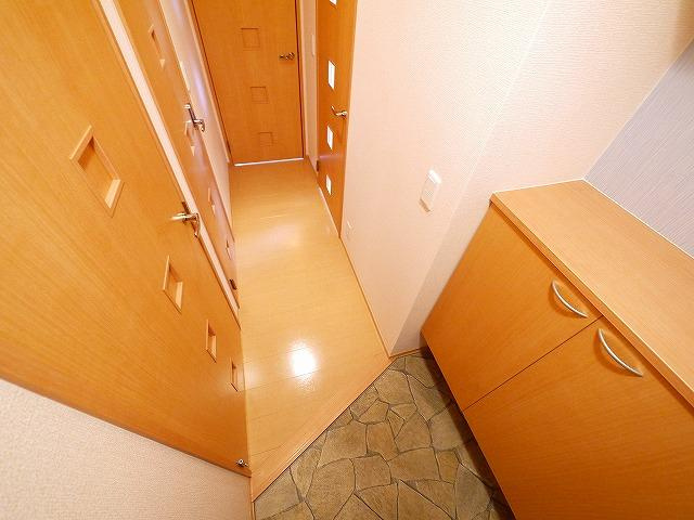 カクタス　フローラB棟の玄関|収納もある玄関です