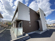 ミランダフリューリングの画像